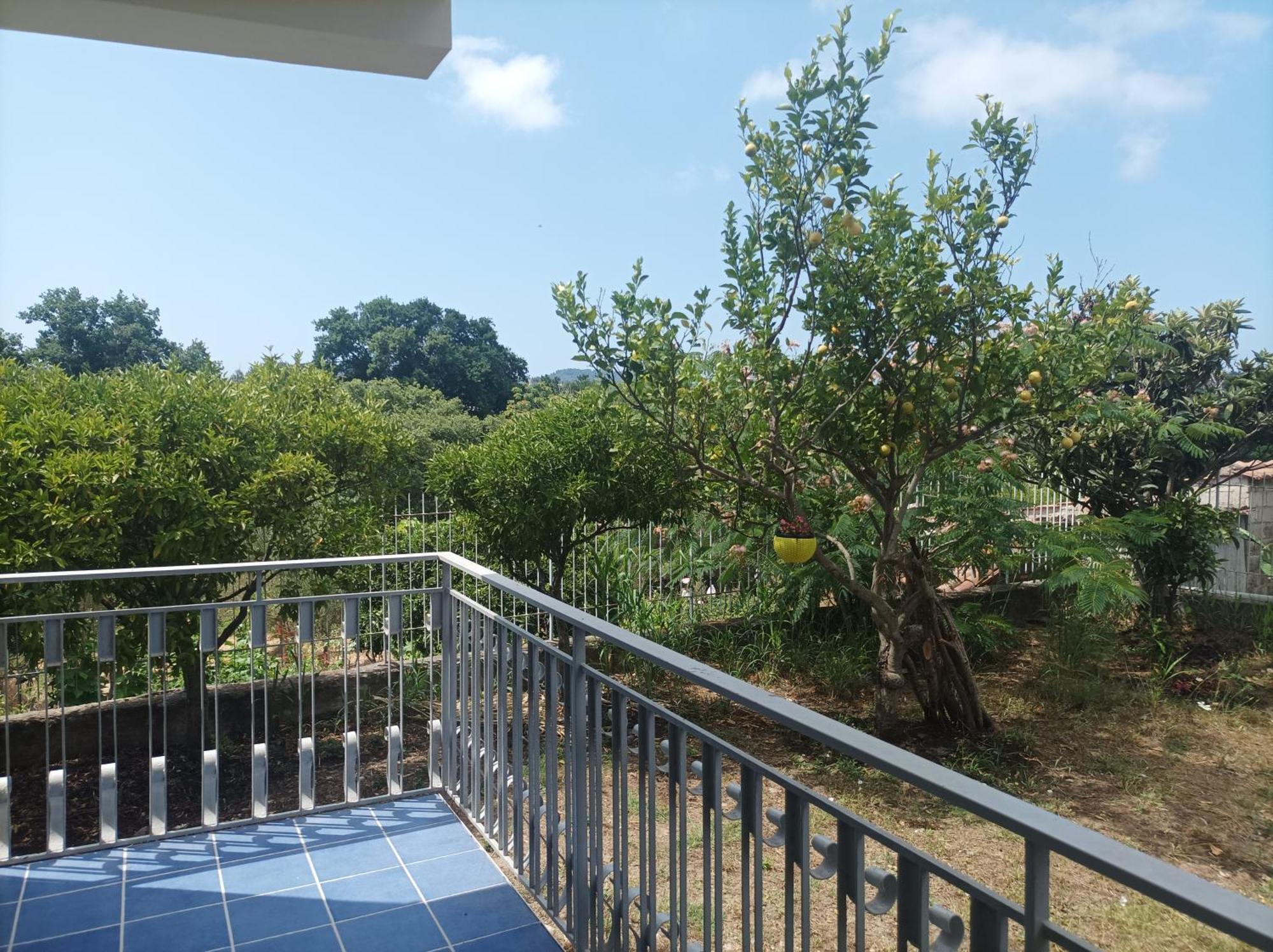 Villa Giardino Degli Oleandri Палинуро Экстерьер фото