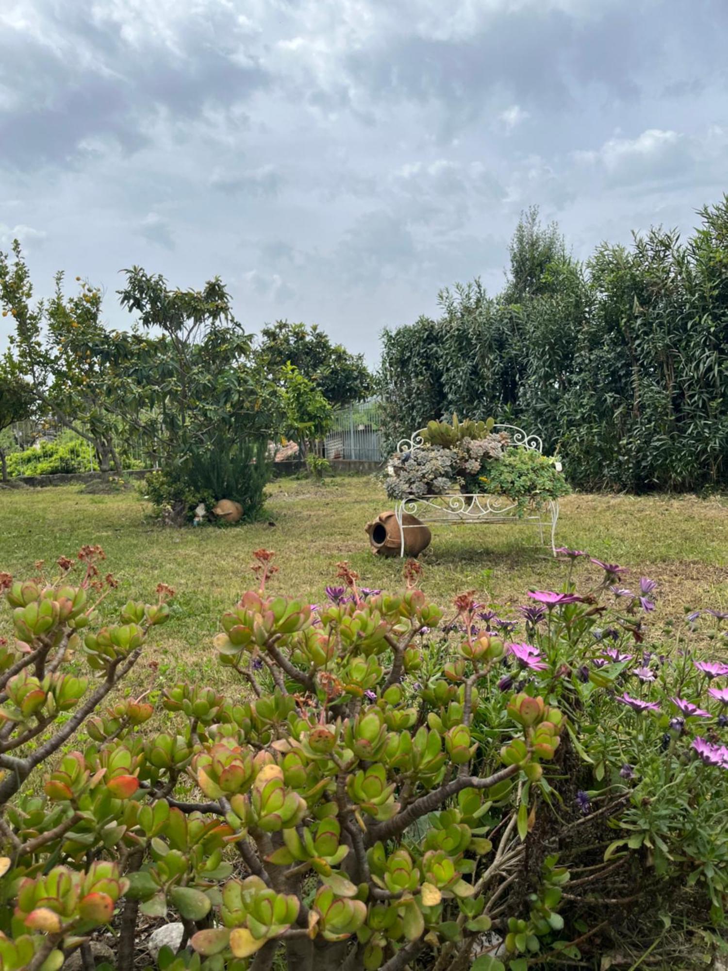 Villa Giardino Degli Oleandri Палинуро Экстерьер фото